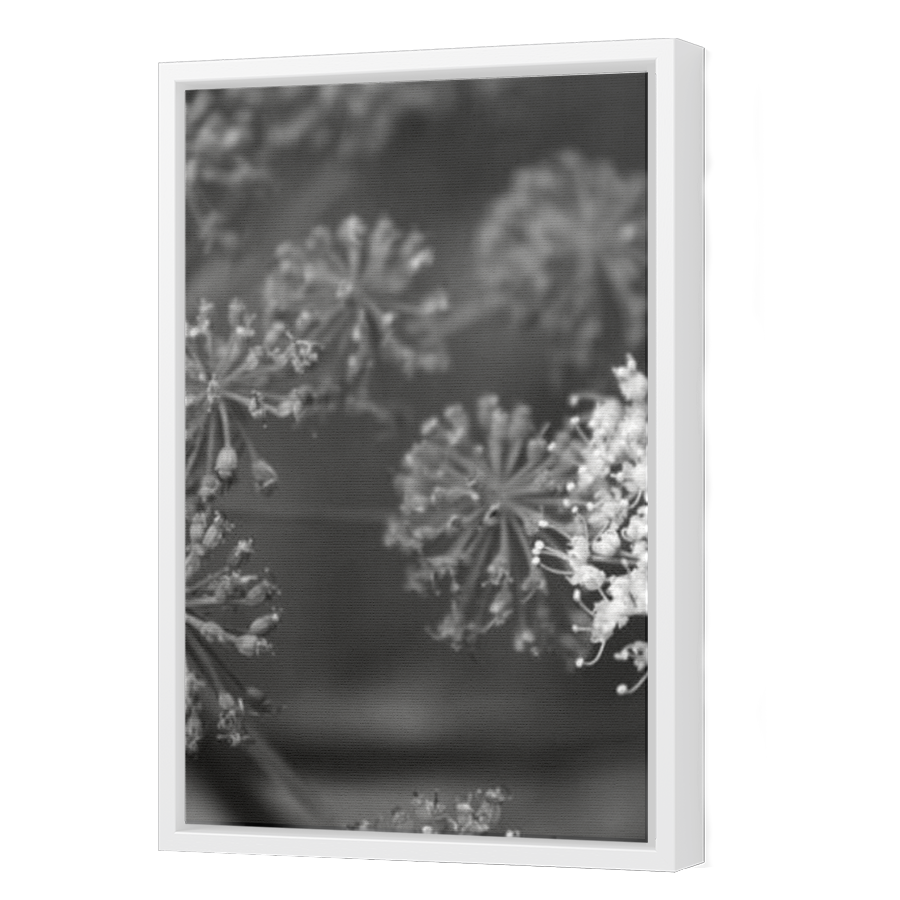 Thumbnail for Canvas - White Floating Frame