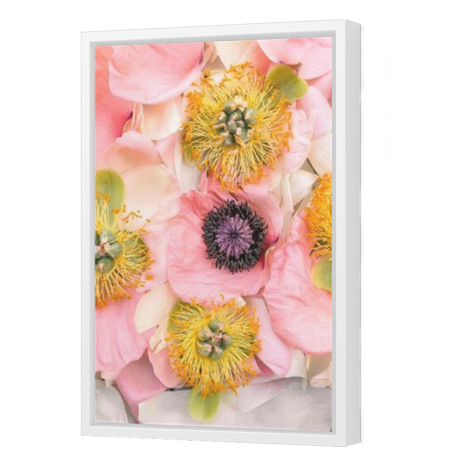 Thumbnail for Canvas - White Floating Frame