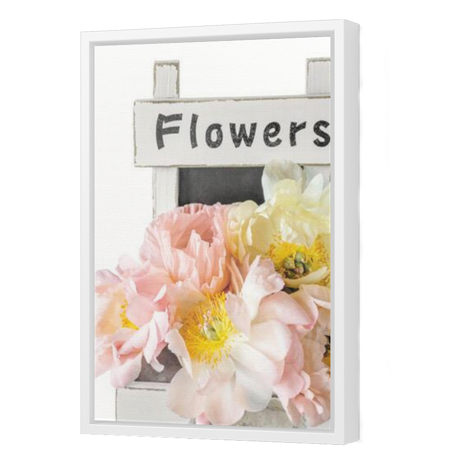 Thumbnail for Canvas - White Floating Frame