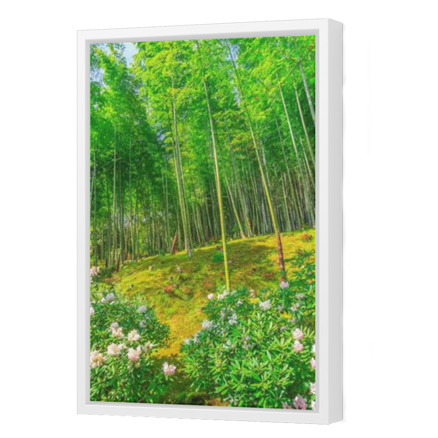 Thumbnail for Canvas - White Floating Frame