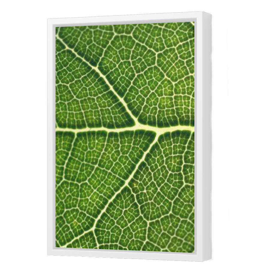 Thumbnail for Canvas - White Floating Frame