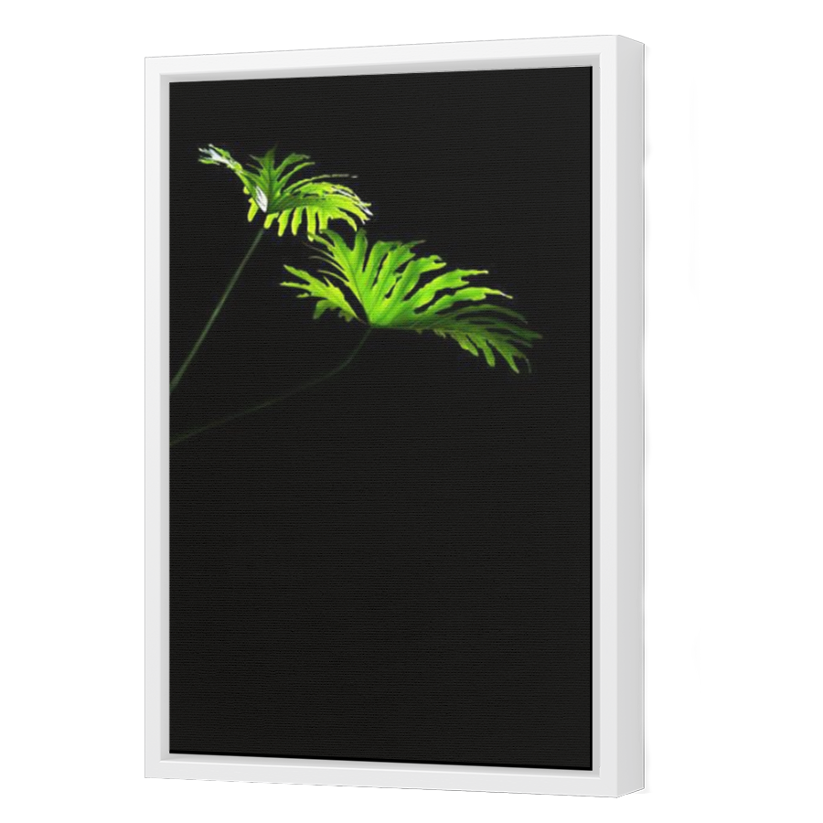 Thumbnail for Canvas - White Floating Frame