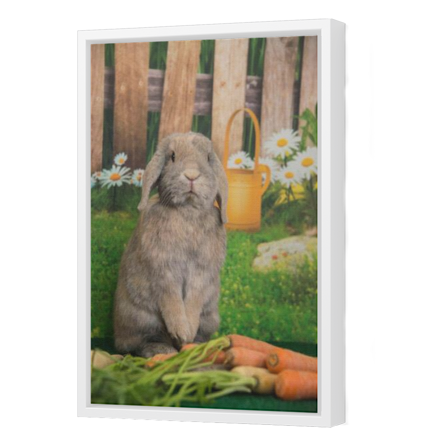 Thumbnail for Canvas - White Floating Frame