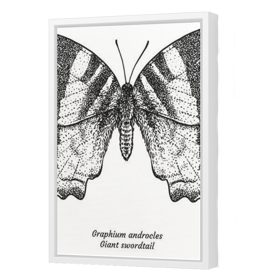 Thumbnail for Canvas - White Floating Frame