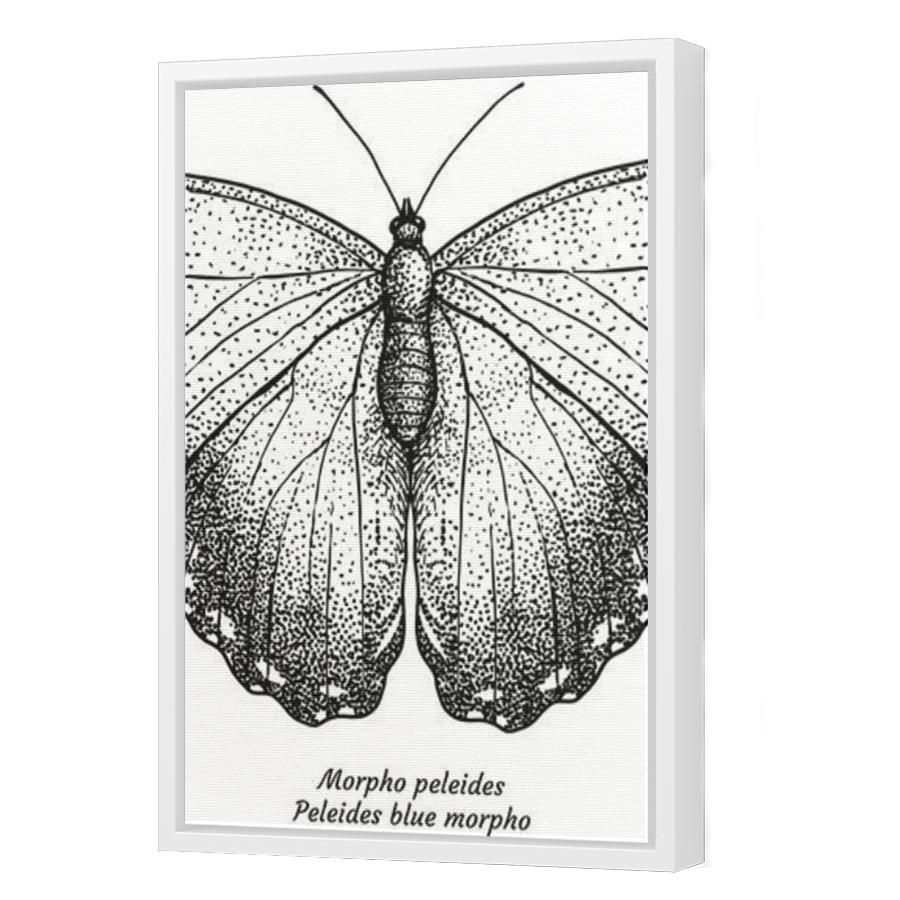 Thumbnail for Canvas - White Floating Frame