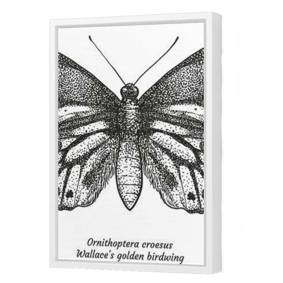 Thumbnail for Canvas - White Floating Frame