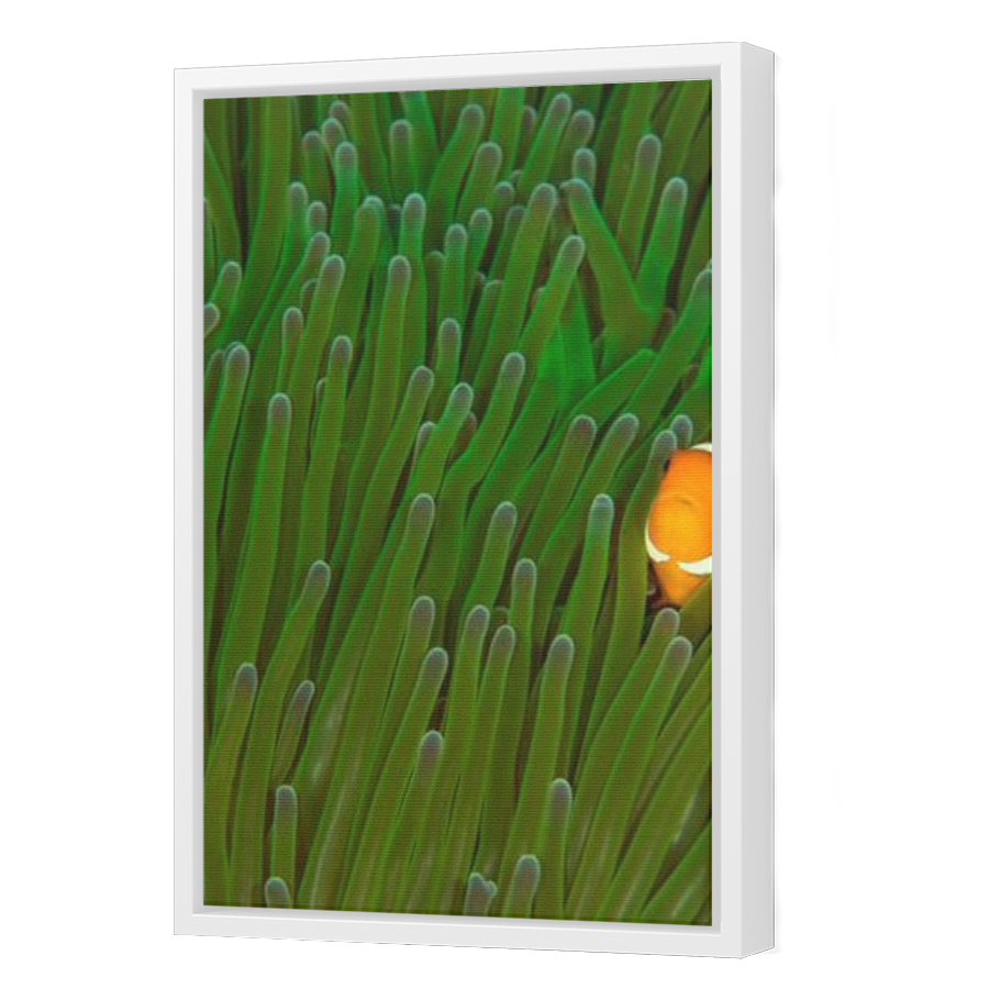 Thumbnail for Canvas - White Floating Frame