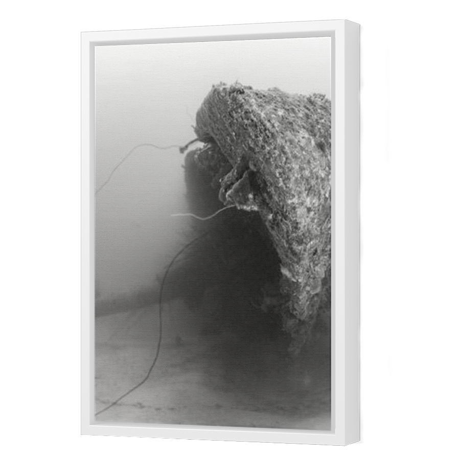 Thumbnail for Canvas - White Floating Frame