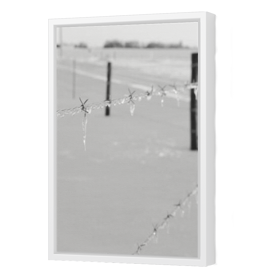 Thumbnail for Canvas - White Floating Frame