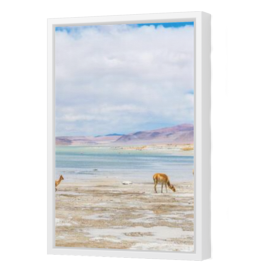Thumbnail for Canvas - White Floating Frame
