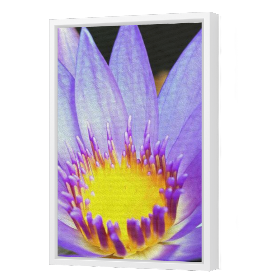 Thumbnail for Canvas - White Floating Frame