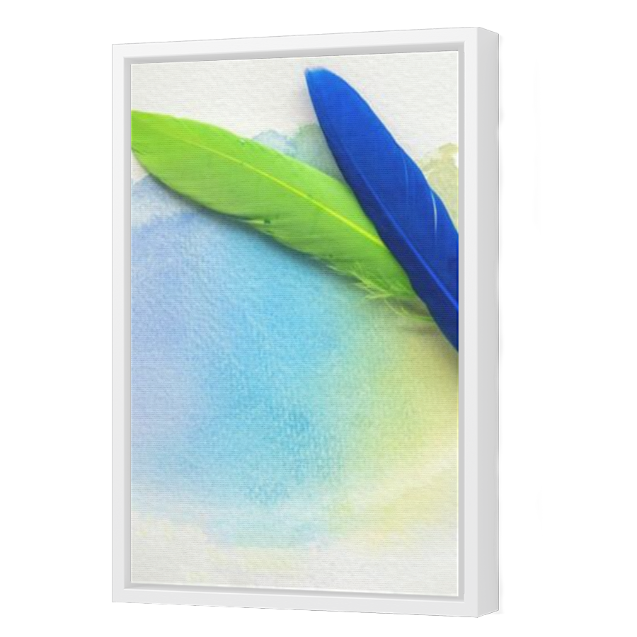Thumbnail for Canvas - White Floating Frame