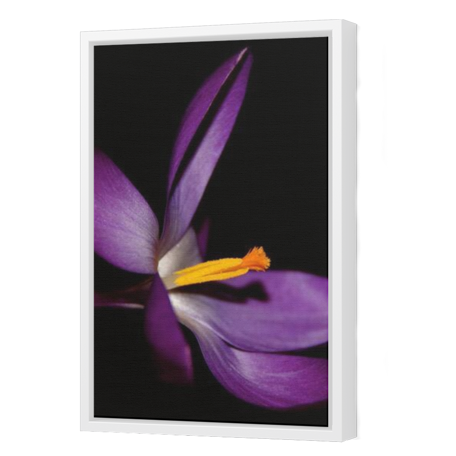 Thumbnail for Canvas - White Floating Frame
