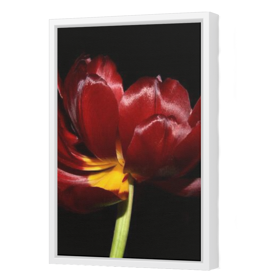 Thumbnail for Canvas - White Floating Frame