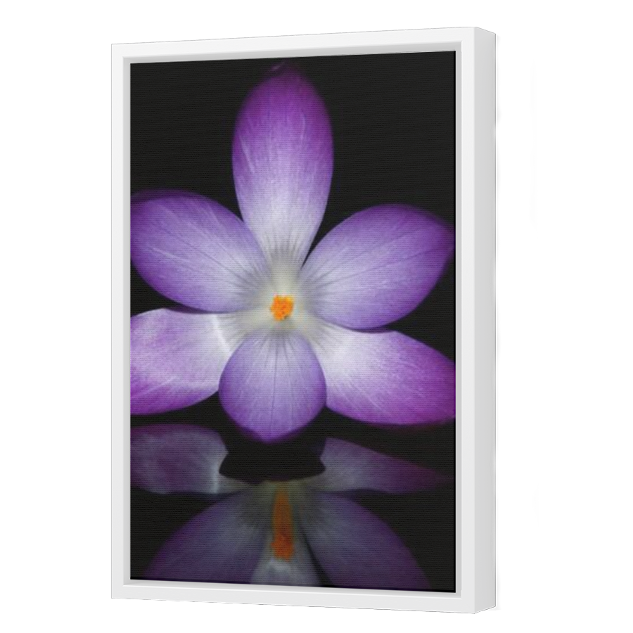Thumbnail for Canvas - White Floating Frame