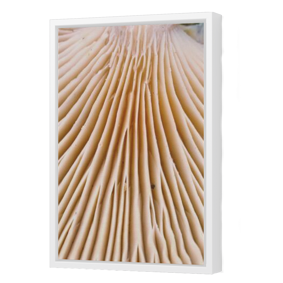 Thumbnail for Canvas - White Floating Frame