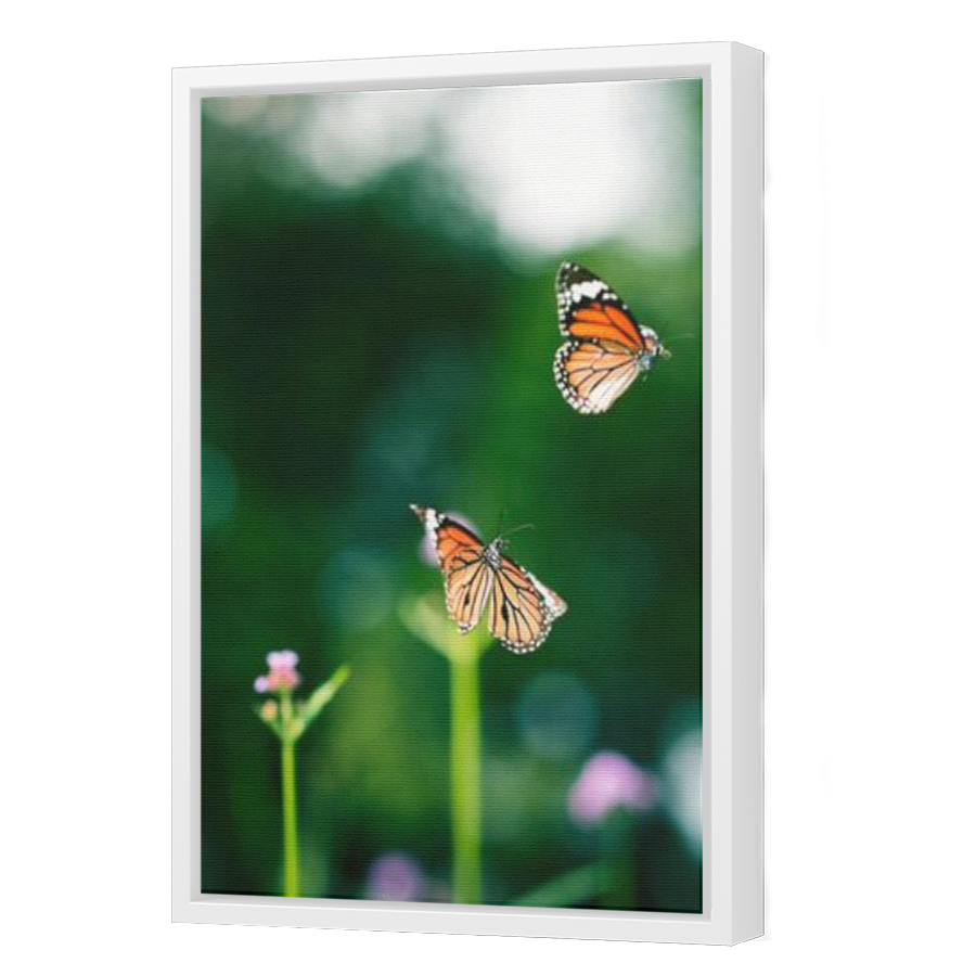 Thumbnail for Canvas - White Floating Frame