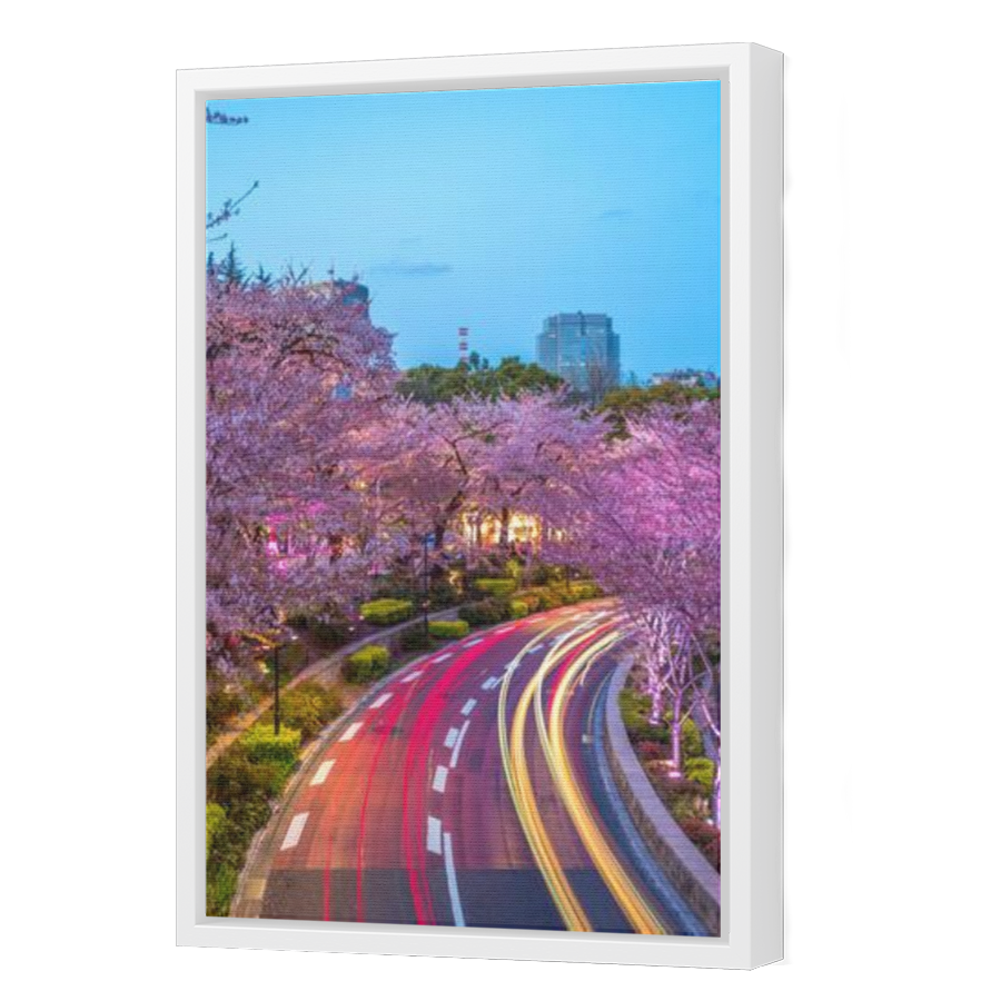 Thumbnail for Canvas - White Floating Frame