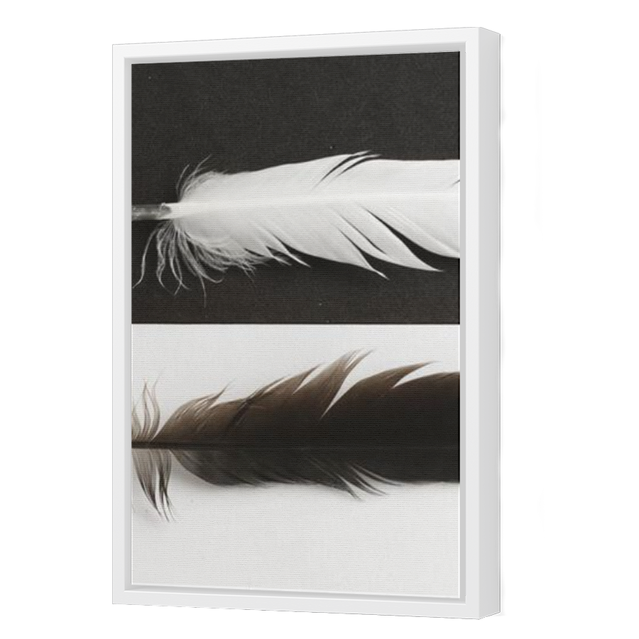 Thumbnail for Canvas - White Floating Frame