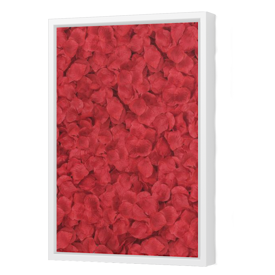 Thumbnail for Canvas - White Floating Frame