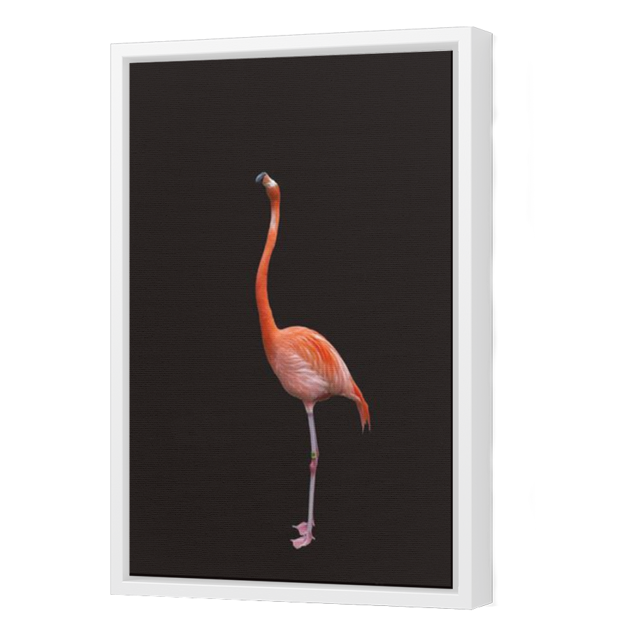 Thumbnail for Canvas - White Floating Frame