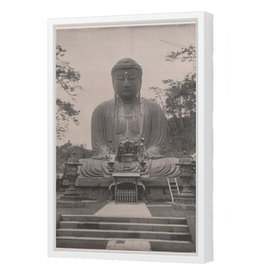 Thumbnail for Canvas - White Floating Frame