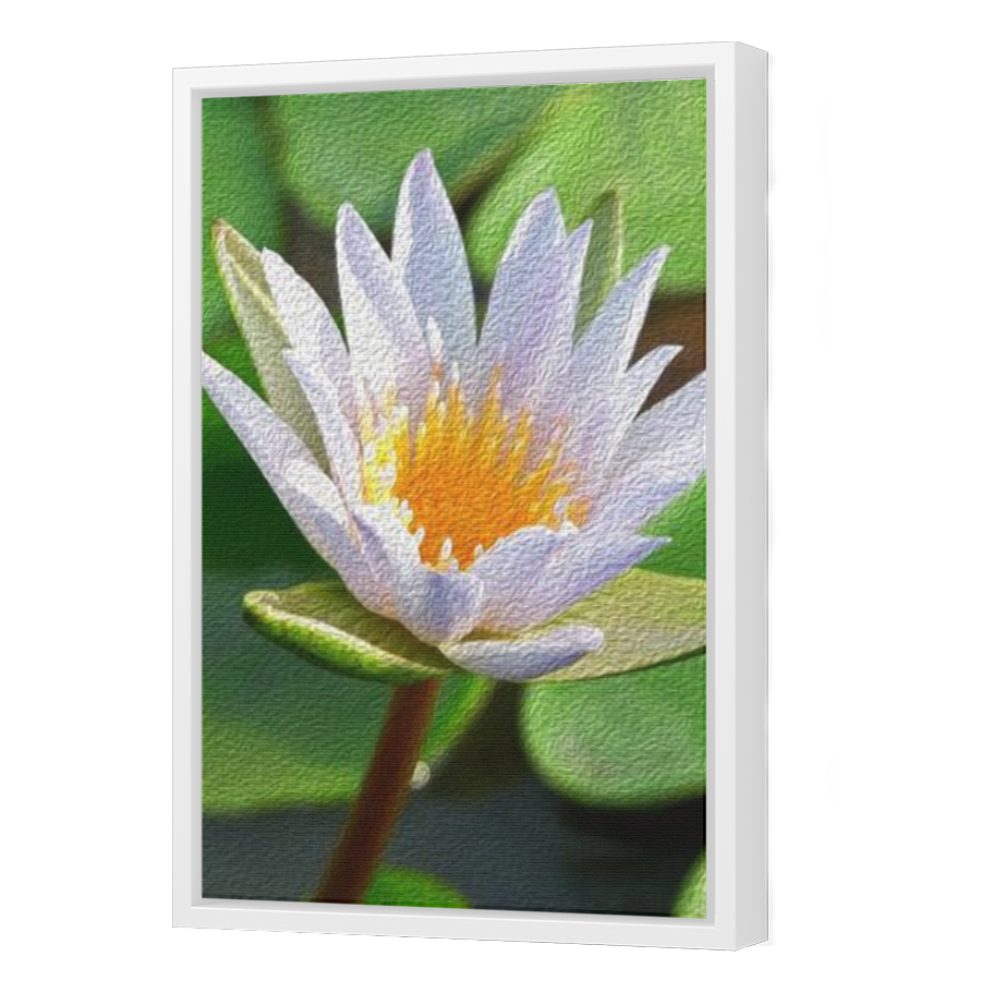 Thumbnail for Canvas - White Floating Frame