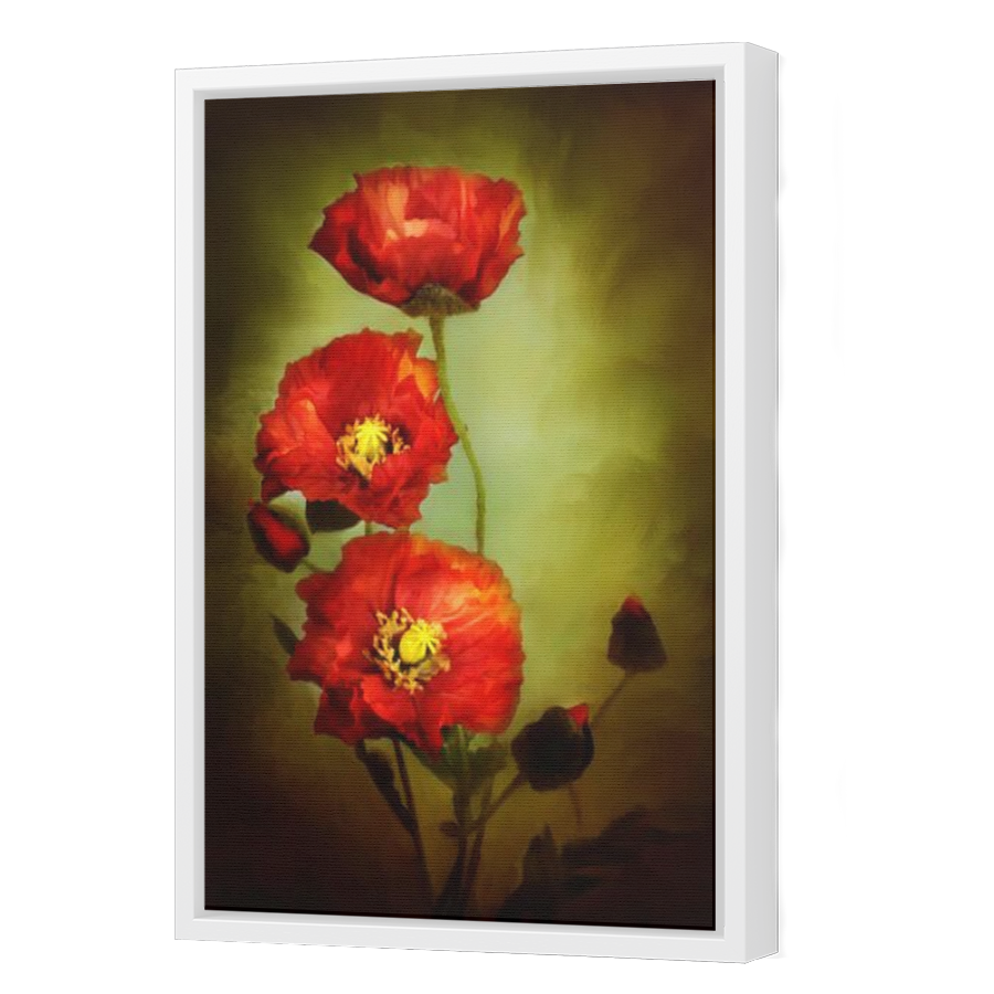 Thumbnail for Canvas - White Floating Frame