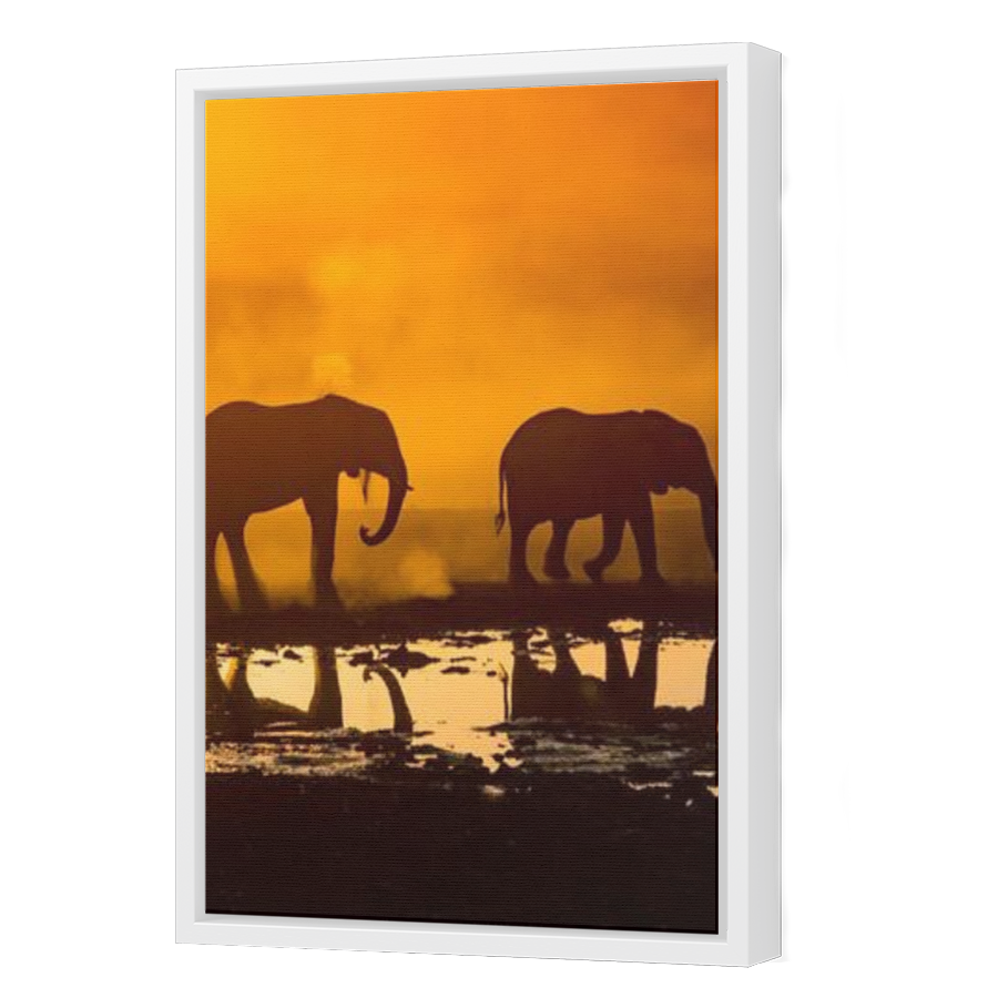 Thumbnail for Canvas - White Floating Frame