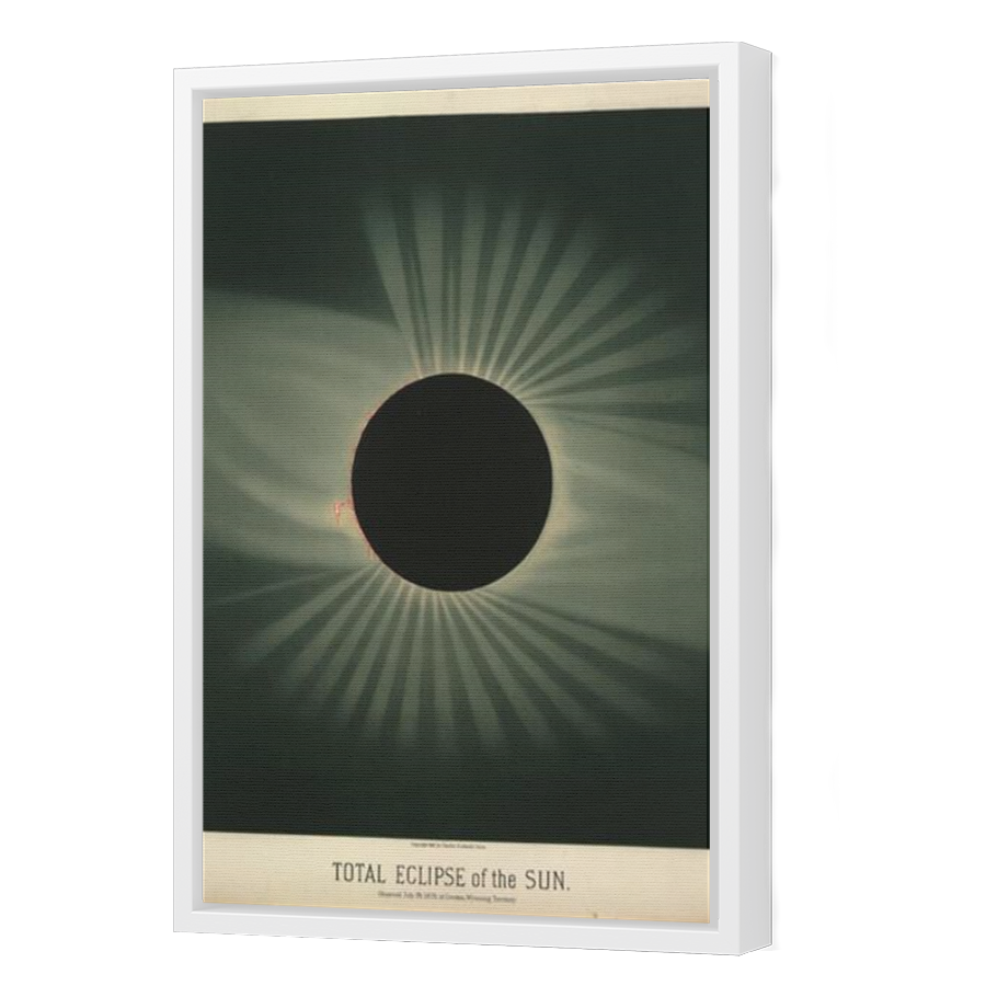 Thumbnail for Canvas - White Floating Frame