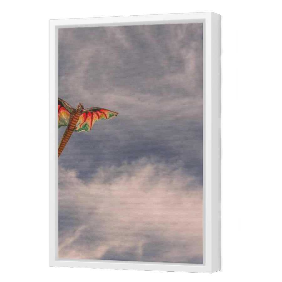 Thumbnail for Canvas - White Floating Frame