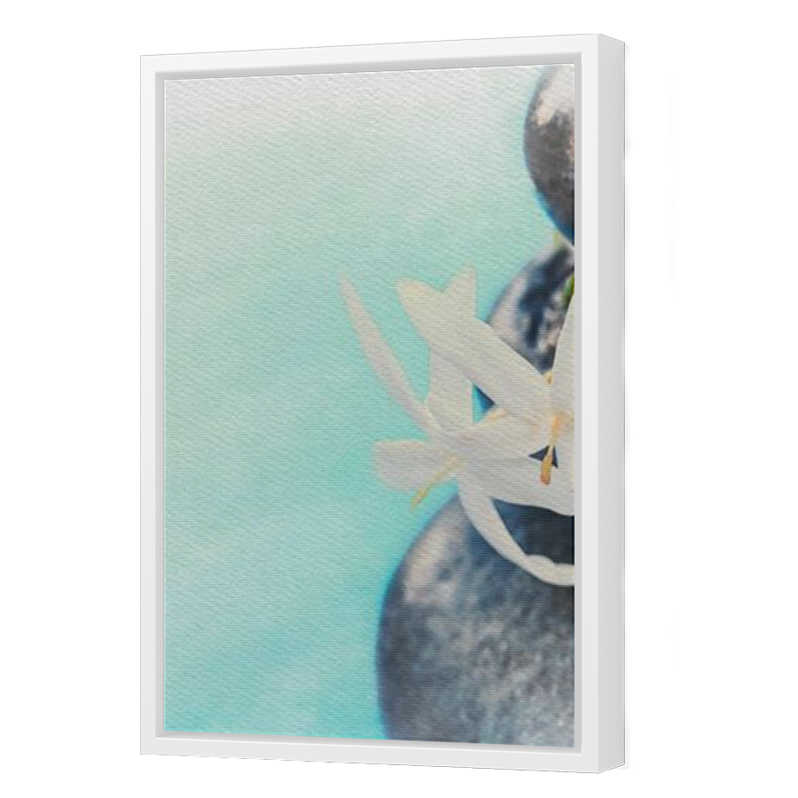 Thumbnail for Canvas - White Floating Frame