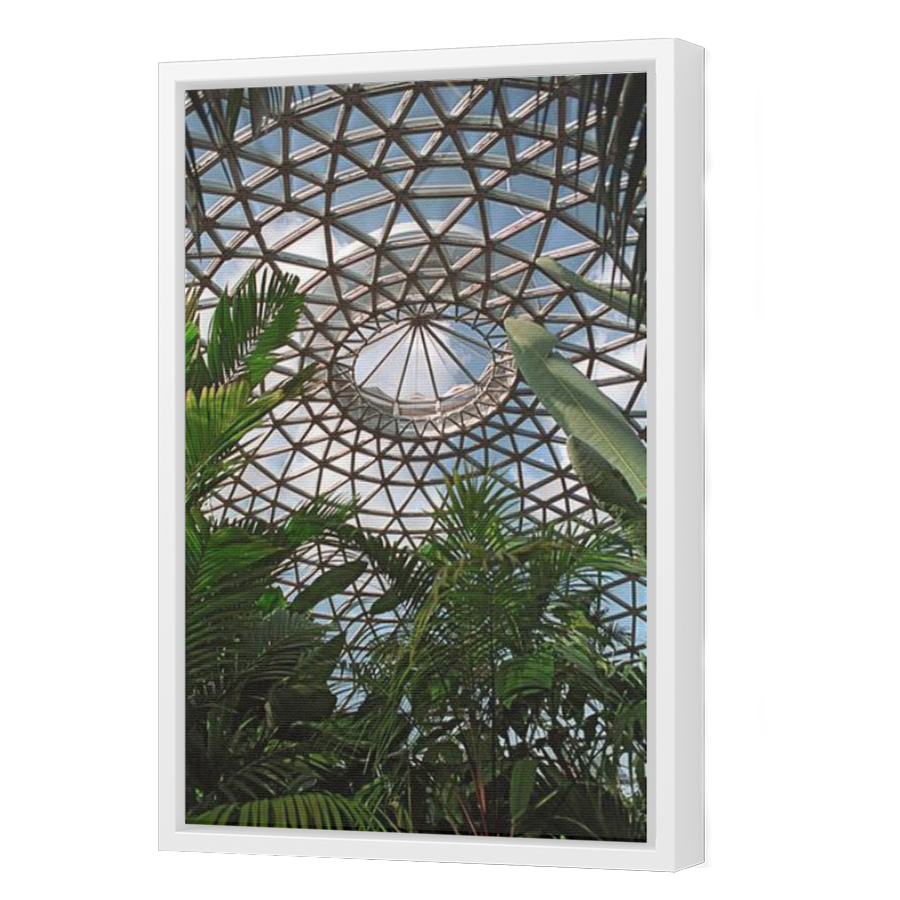 Thumbnail for Canvas - White Floating Frame