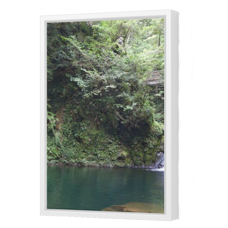 Thumbnail for Canvas - White Floating Frame
