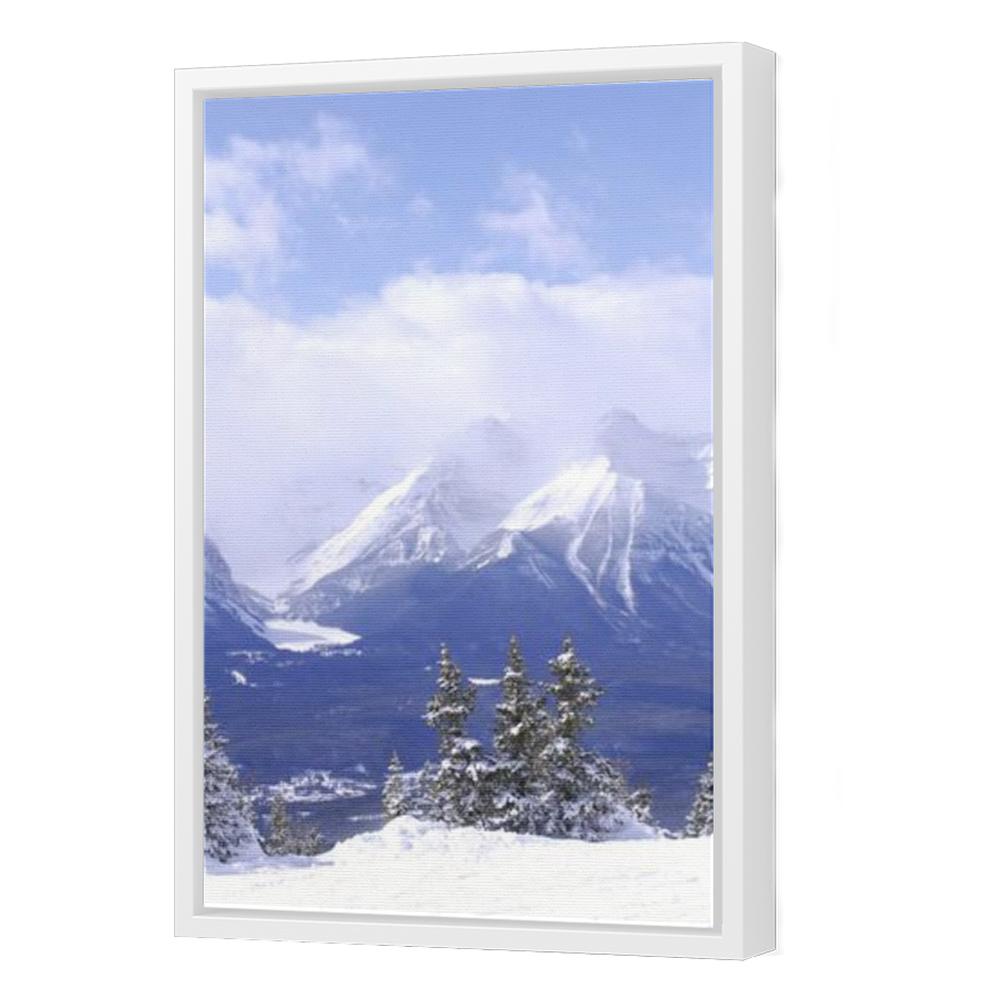 Thumbnail for Canvas - White Floating Frame