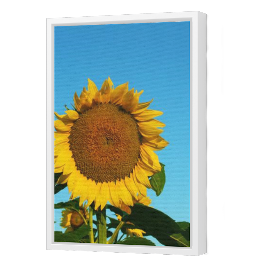 Thumbnail for Canvas - White Floating Frame
