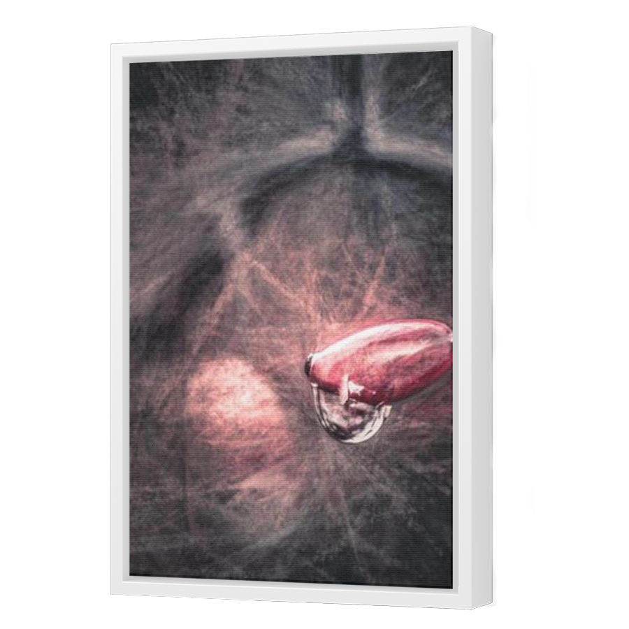 Thumbnail for Canvas - White Floating Frame