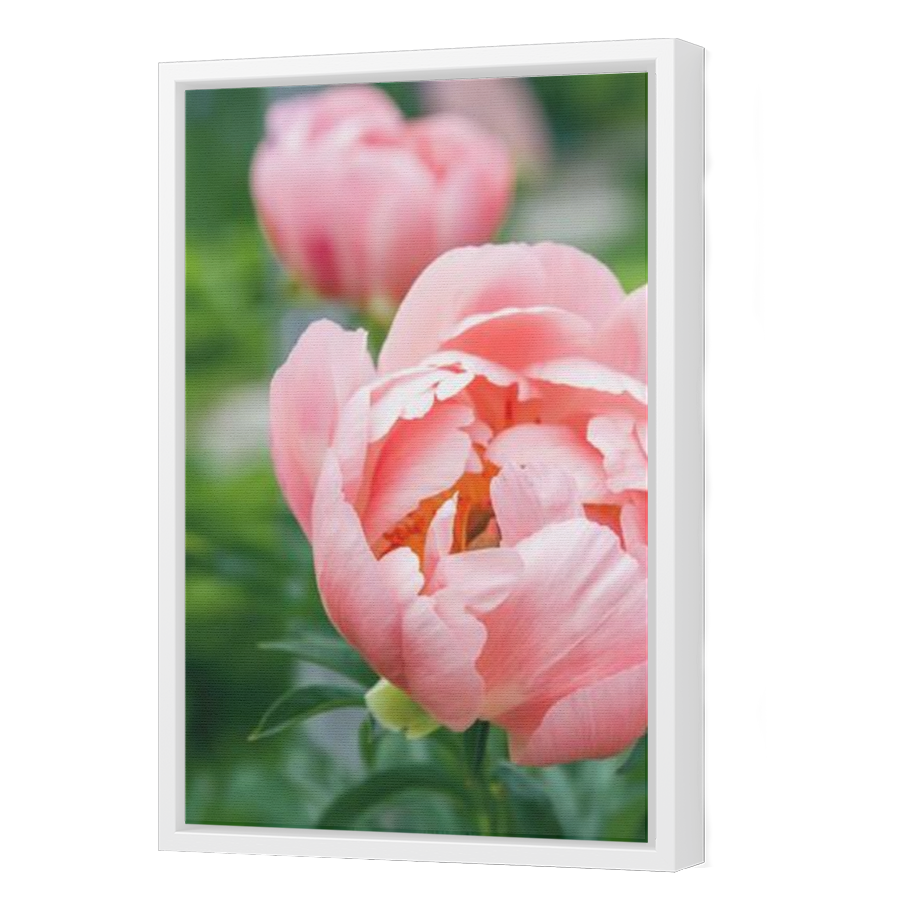 Thumbnail for Canvas - White Floating Frame