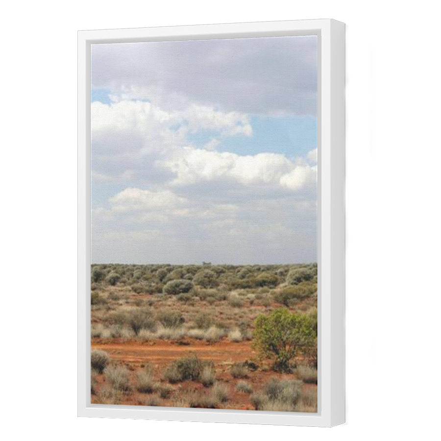 Thumbnail for Canvas - White Floating Frame