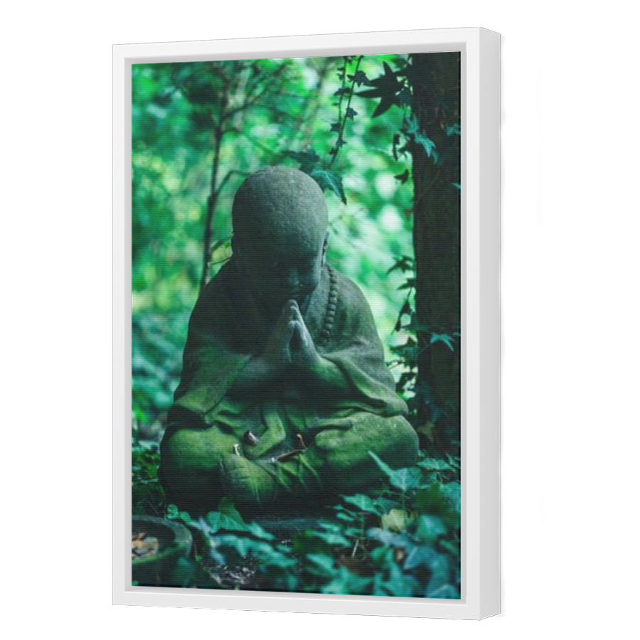 Thumbnail for Canvas - White Floating Frame