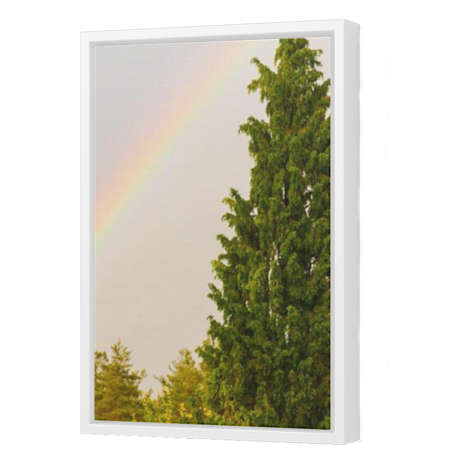 Thumbnail for Canvas - White Floating Frame