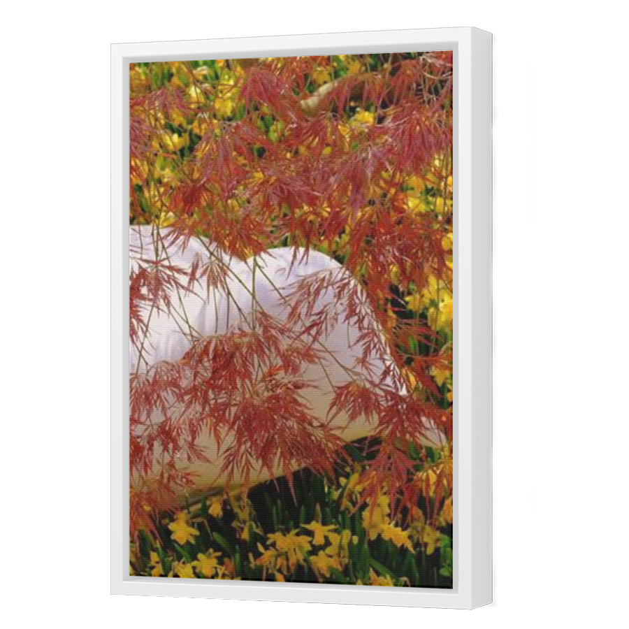 Thumbnail for Canvas - White Floating Frame