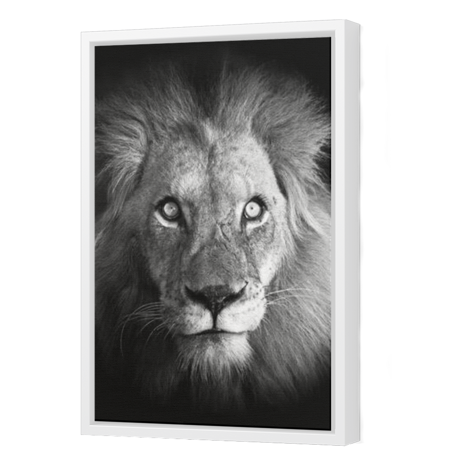 Thumbnail for Canvas - White Floating Frame
