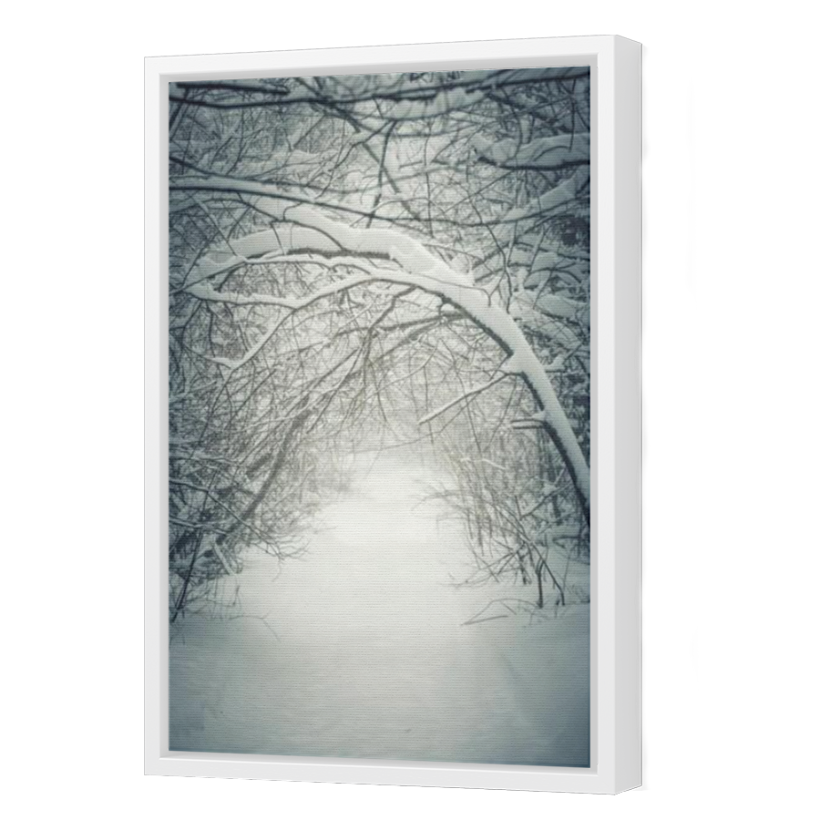 Thumbnail for Canvas - White Floating Frame