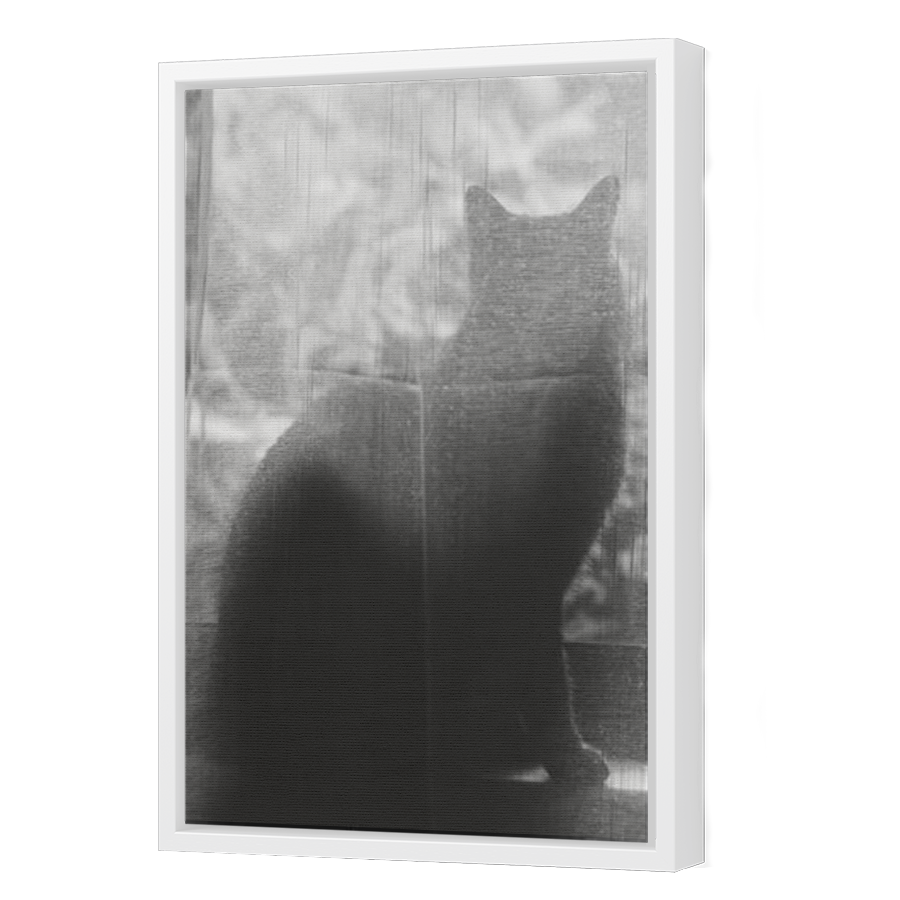 Thumbnail for Canvas - White Floating Frame