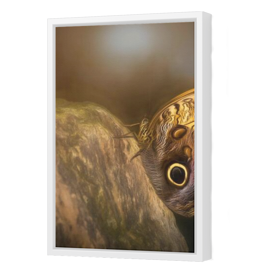 Thumbnail for Canvas - White Floating Frame