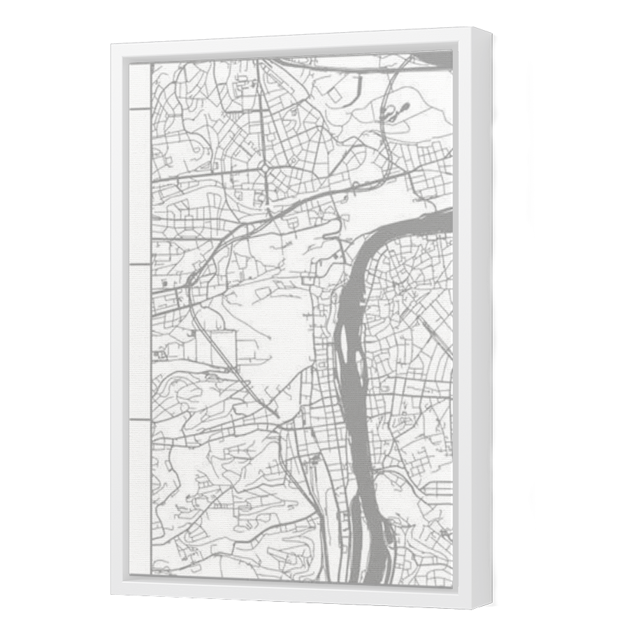 Thumbnail for Canvas - White Floating Frame