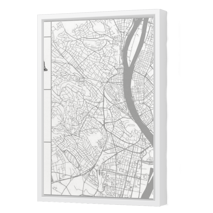 Thumbnail for Canvas - White Floating Frame