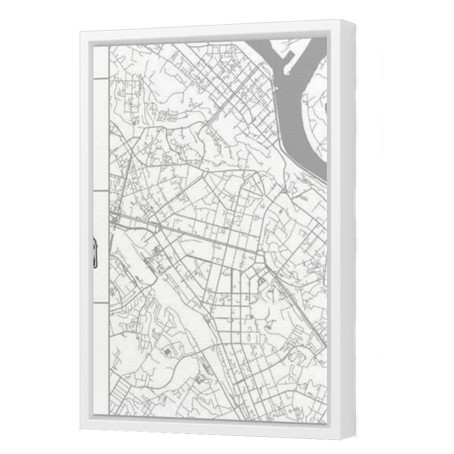 Thumbnail for Canvas - White Floating Frame
