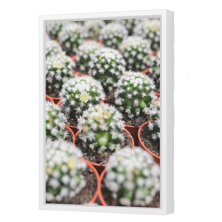 Thumbnail for Canvas - White Floating Frame